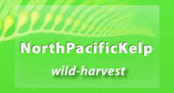 north-pacific-kelp.png