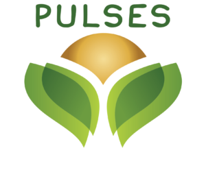 Pulses_Logo_Campaign_4C-copy-300x248.png